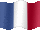 France Small flag