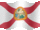 Florida Small flag