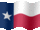 Texas Small flag