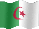 Large still flag of Algeria