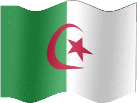 Extra Large still flag of Algeria