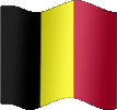 Large still flag of Belgium