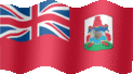 Animated Bermuda flags