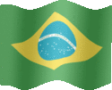 Large still flag of Brazil