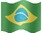Medium animated flag of Brazil