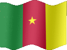 Large still flag of Cameroon