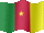 Small still flag of Cameroon