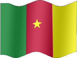 Extra Large still flag of Cameroon