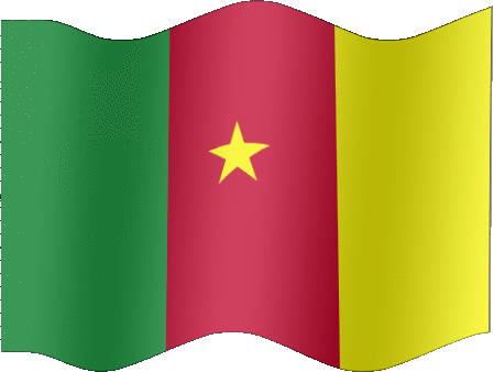 Very Big still flag of Cameroon