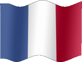 Extra Large still flag of France
