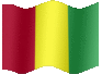 Medium animated flag of Guinea