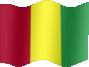 Animated Guinea flags