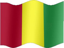 Extra Large still flag of Guinea