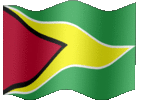 Large animated flag of Guyana