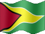 Medium still flag of Guyana