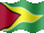 Small still flag of Guyana