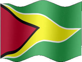 Extra Large still flag of Guyana