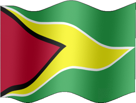 Very Big still flag of Guyana