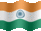 Small still flag of India