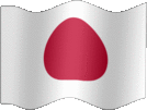 Large still flag of Japan