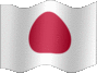 Medium still flag of Japan