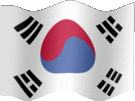 Large still flag of Korea, South