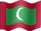 Large still flag of Maldives