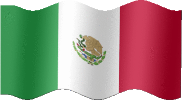 Extra Large still flag of Mexico
