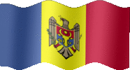 Large still flag of Moldova