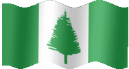 Large animated flag of Norfolk Island