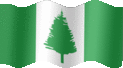 Animated Norfolk Island flags
