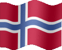 Large still flag of Norway
