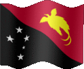 Large still flag of Papua New Guinea