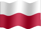 Large still flag of Poland