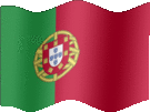 Large still flag of Portugal