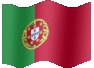 Medium animated flag of Portugal