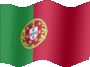 Medium still flag of Portugal