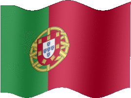 Extra Large still flag of Portugal