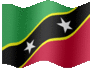 Medium animated flag of Saint Kitts and Nevis