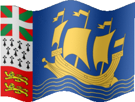 Extra Large still flag of Saint Pierre and Miquelon