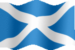 Large still flag of Scotland