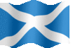 Medium animated flag of Scotland