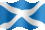Small still flag of Scotland