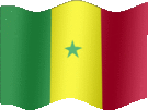 Large still flag of Senegal