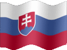 Large still flag of Slovakia