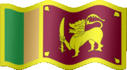 Large still flag of Sri Lanka