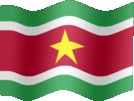 Large still flag of Suriname