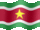Small still flag of Suriname