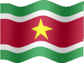 Extra Large still flag of Suriname