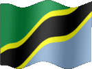 Large still flag of Tanzania